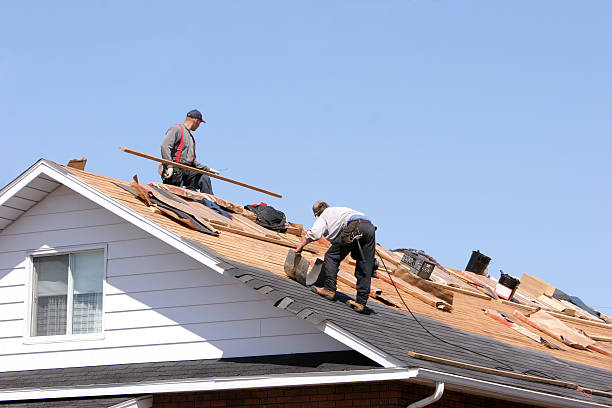 Best Emergency Roof Repair Services  in St Johns, AZ